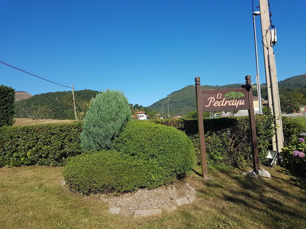 Apartamentos El Pedrayu Onis Bagian luar foto